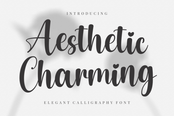 Aesthetic Charming: A Graceful Typeface for Modern Web Design
