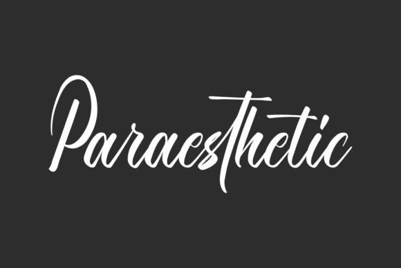 Paraesthetic: The Script Font That Elevates Campaign Visuals