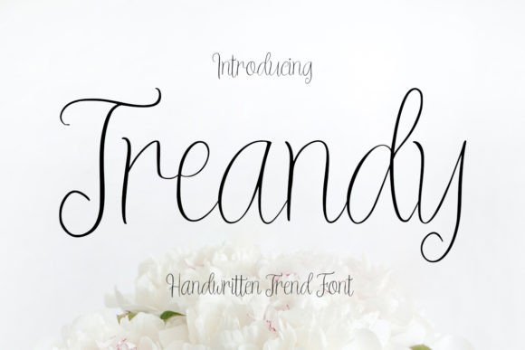 Treandy Review: A Script Font with Real Brand Potential